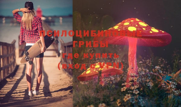 крисы Балахна