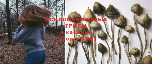 тгк Снежинск