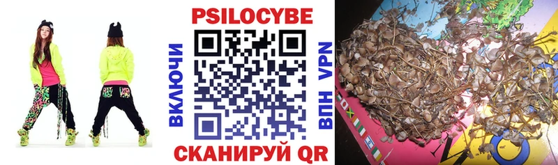 Галлюциногенные грибы Cubensis  купить  цена  Кропоткин 